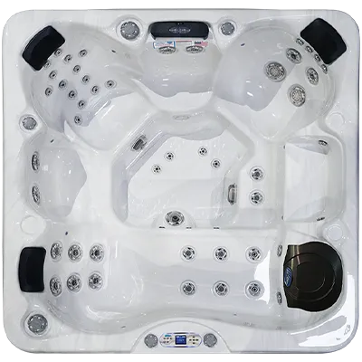 Avalon EC-849L hot tubs for sale in Anchorage